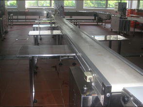 食品輸送線報價與廠家選擇指南，助力電子產(chǎn)品銷售企業(yè)優(yōu)化供應(yīng)鏈