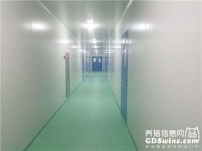 正業生物疫苗懸浮培養車間通過農業部GMP認證，引領生物制品產業新篇章